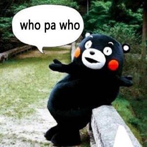 who cares表情包 v1.0