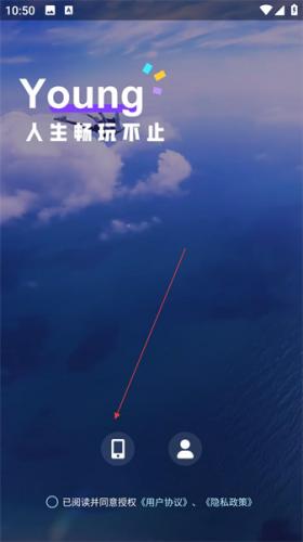 顽皮