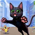 小猫咪大世界