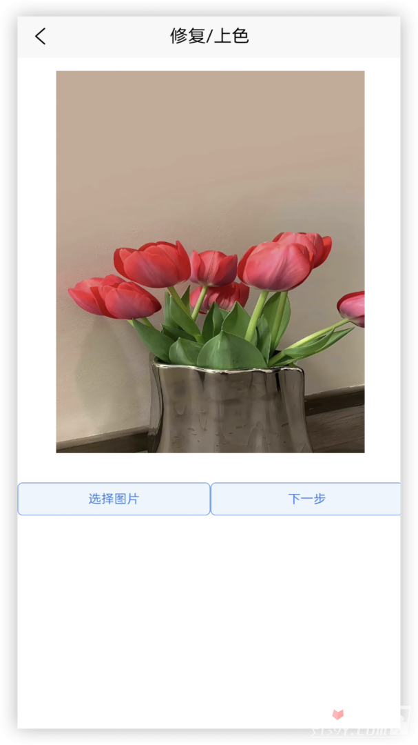 年龄相机