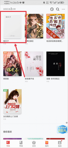 vivo小说