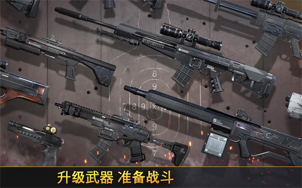 致命枪杀12.5