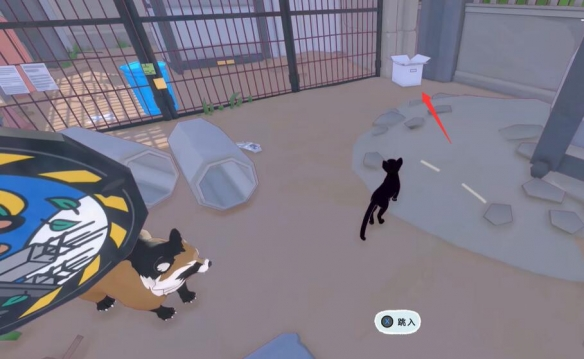 小猫咪大世界5