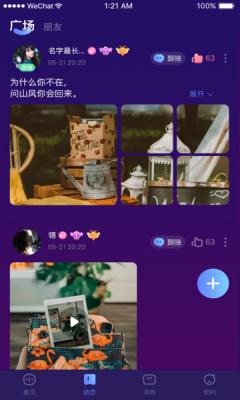顽皮