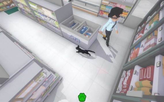 小猫咪大世界