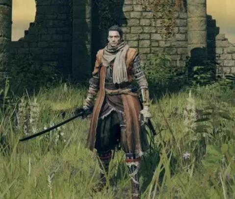 艾尔登法环只狼服装MOD