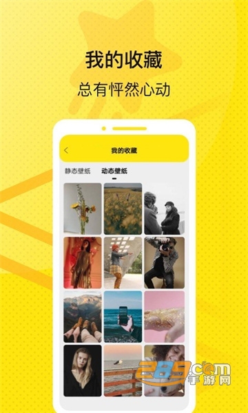 星星壁纸app下载安装免费版v1.0