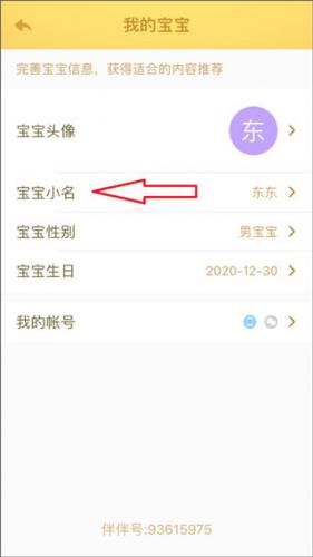 小伴龙