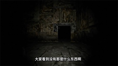 恐怖滑滑梯联机版