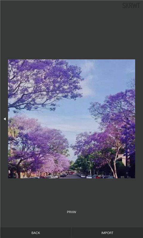 照片恢复神器