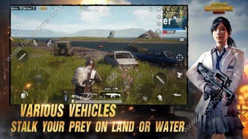 pubg低配版