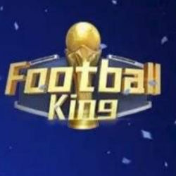 足球明星经理VIP游戏v1.0安卓版