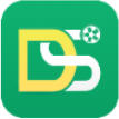 DS足球