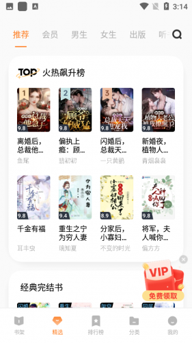 vivo小说