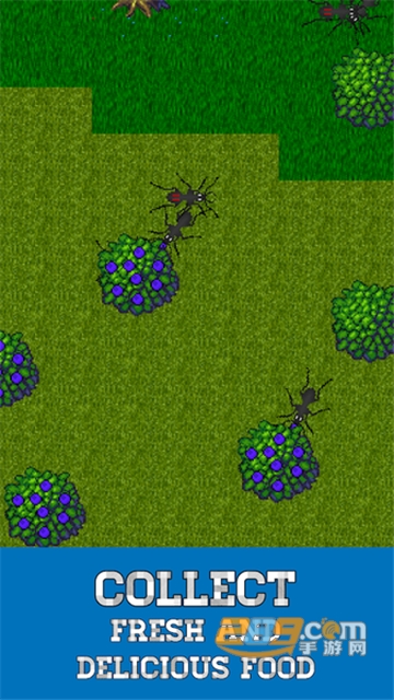 Ant Evolution（蚂蚁模拟器）v1.2.925最新版