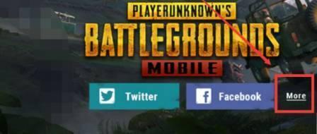 pubg低配版