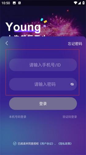 顽皮