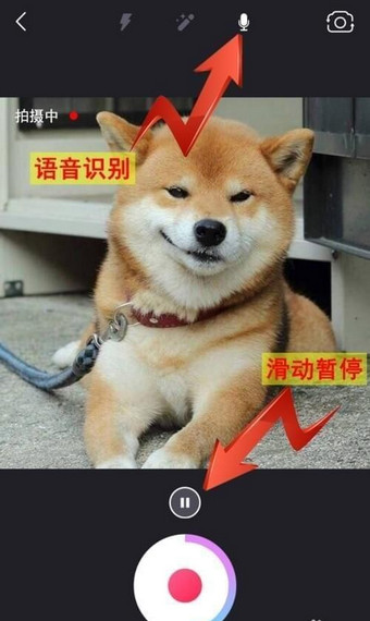表情说说下载