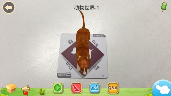尼奥照照
