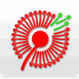 成都志愿者