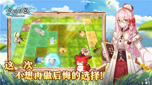 宠物迷宫