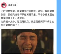 皮皮大侠
