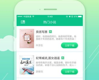 小说阅读界面