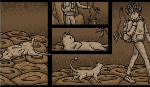 猫咪博物馆
