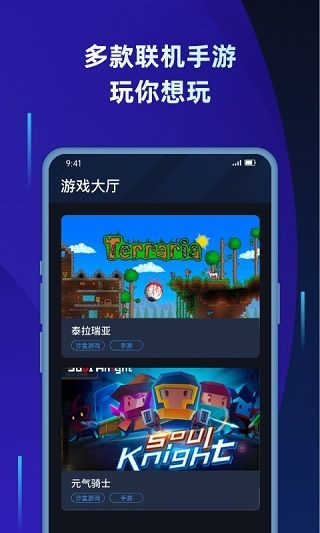 贝锐蒲公英联机