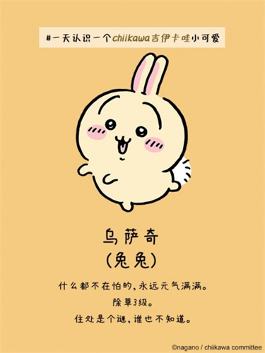 口袋吉伊卡哇国际服