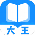 大王书城免费阅读