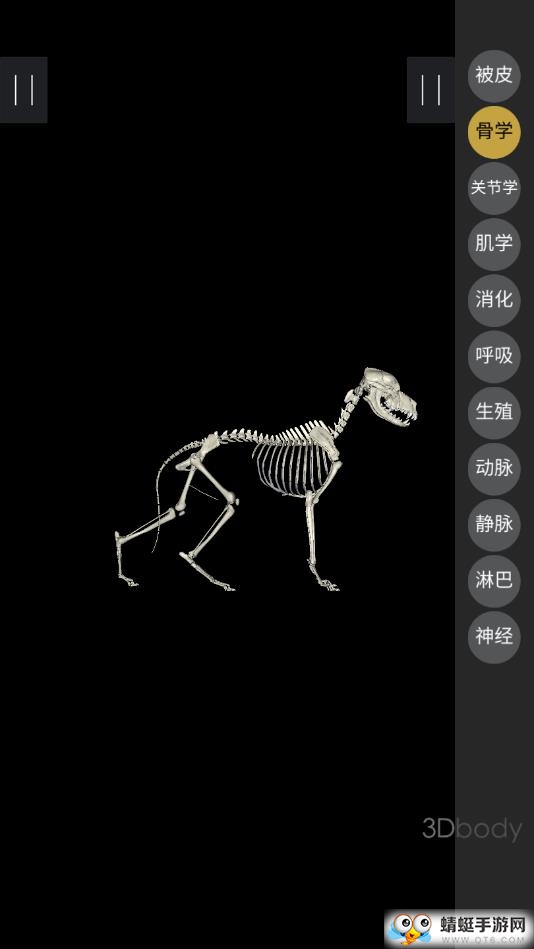 3Dbody宠物 1.0.0安卓版