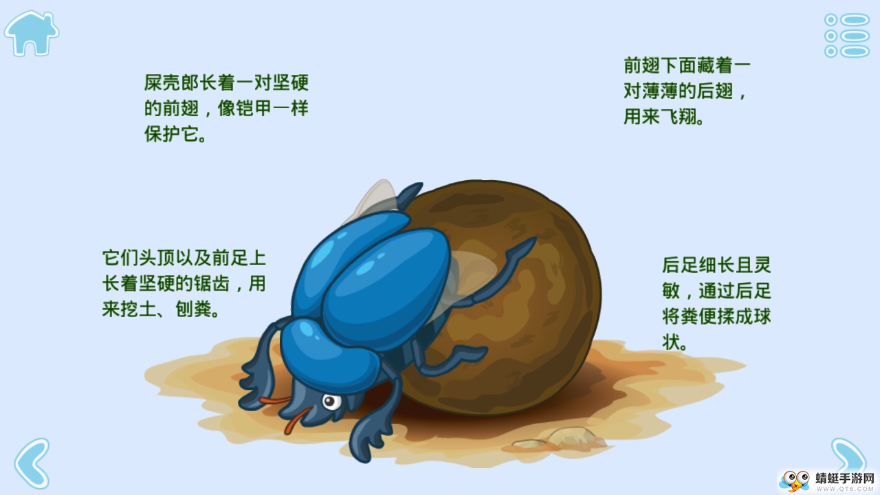 宝宝昆虫世界单机版 1.3.2