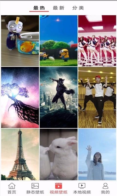 Cutisan壁纸