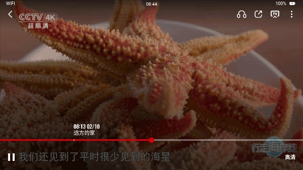 央视频TV正版