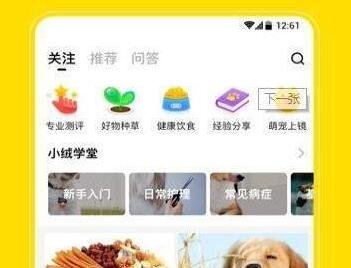 小绒宠物app
