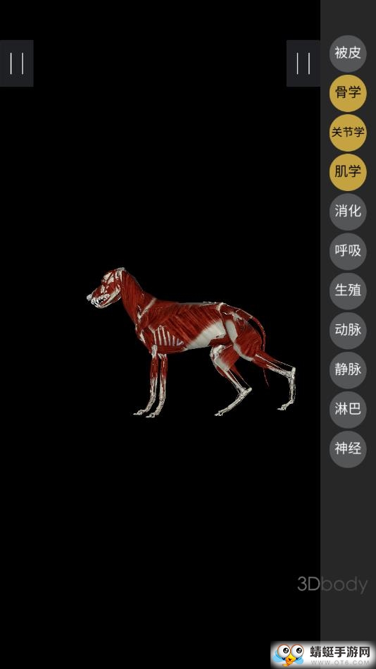 3Dbody宠物 1.0.0安卓版