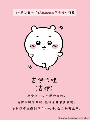 口袋吉伊卡哇国际服