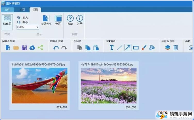 Apowersoft Screen Capture Pro(专业截屏王) 1.4.8.3特别版