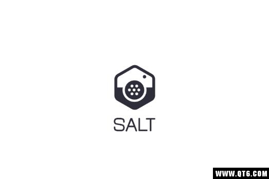 Salt水印工具