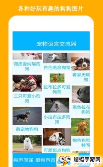 人狗交流器狗语翻译