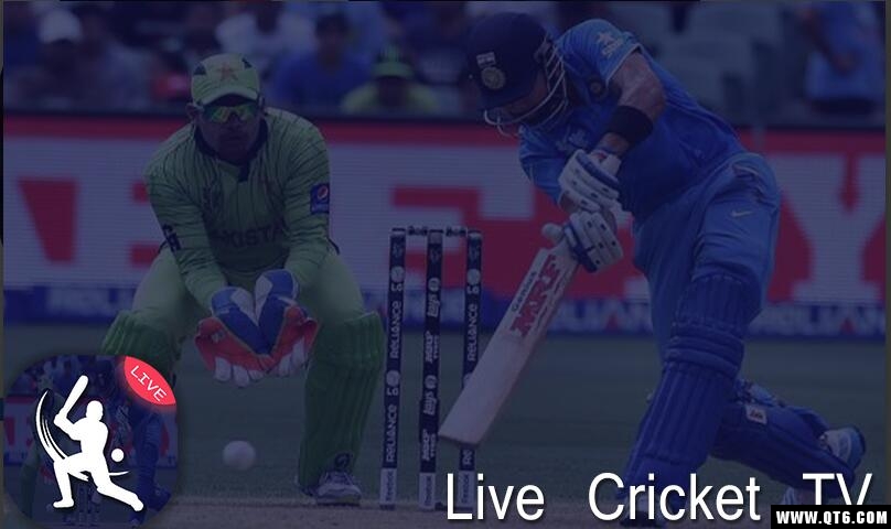 Live Cricket(直播棒球) 1.2最新版