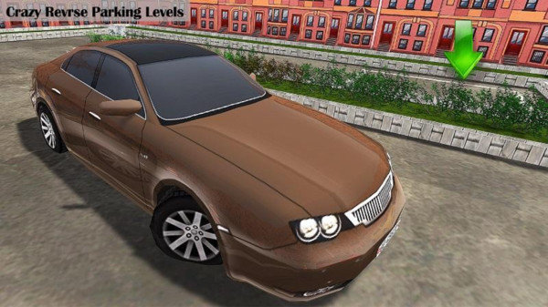 CARPARKING游戏