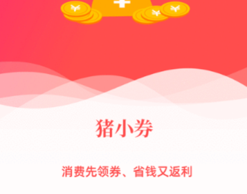 猪小券