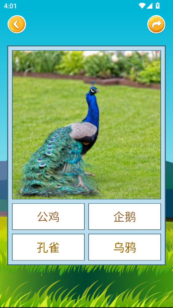 看图识字app 4.0.1.4手机版