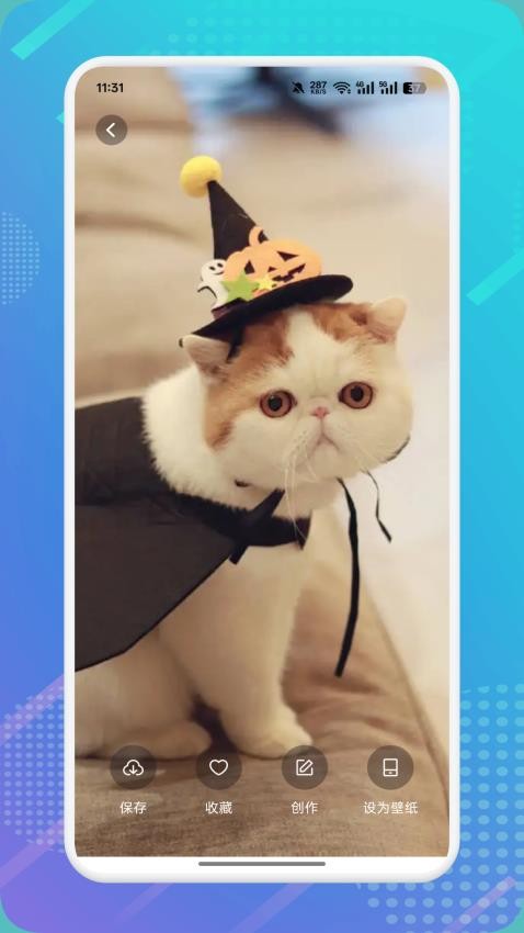 猫咪社区h2026免费版