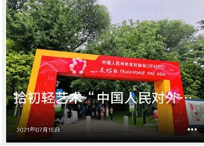 应用界面展示