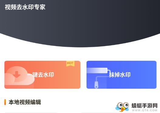 视频去水印专家app