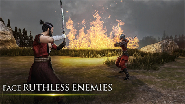 忍者武士隆中文汉化版