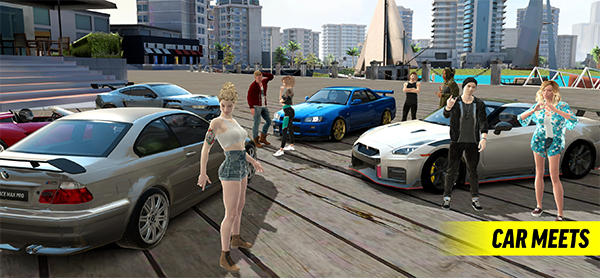 Race Max Pro安装器